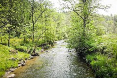 14.12+/- acres in Green Mountain, Yancey County