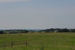 236+- Acres Ranch/hunting ground.  Backs up to Wooly Hollow State Park.  Excellent hunting and pasture ground. Cecil at 501-679-1660