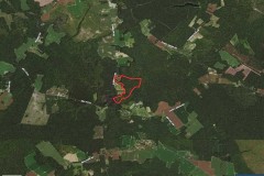 UNDER CONTRACT!!  52 ACRES - GREAT OPPORTUNITY FOR A WOODED TRACT IN RURAL SOUTHAMPTON COUNTY, VIRGINIA