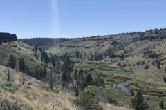 Emigrant Creek - Silvies River Ranch