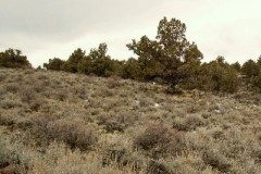 40 Acres in Lake County, OR