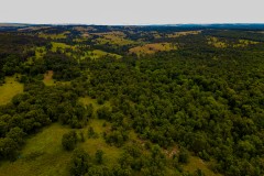 Outstanding 240 Acre Recreational Hunting Tract in Osage County!