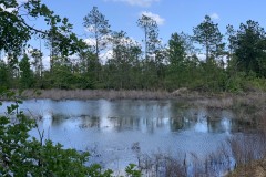 Hunting Land with Creek ( 427.8 ac)