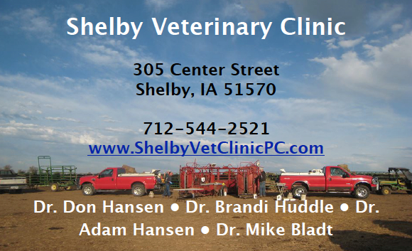 Shelby Vet Clinic
